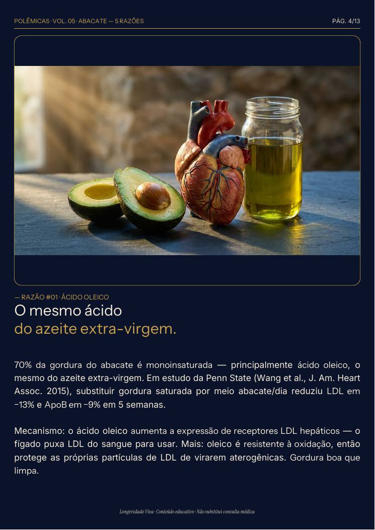 Página 4 — amostra