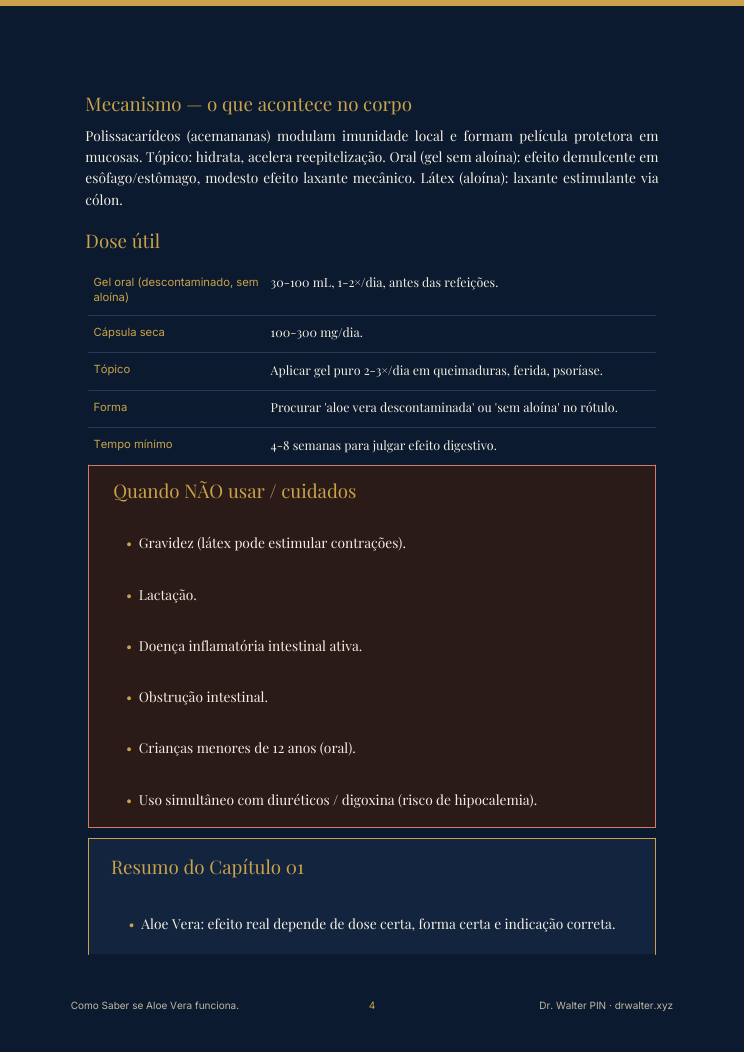 Página 4 — amostra