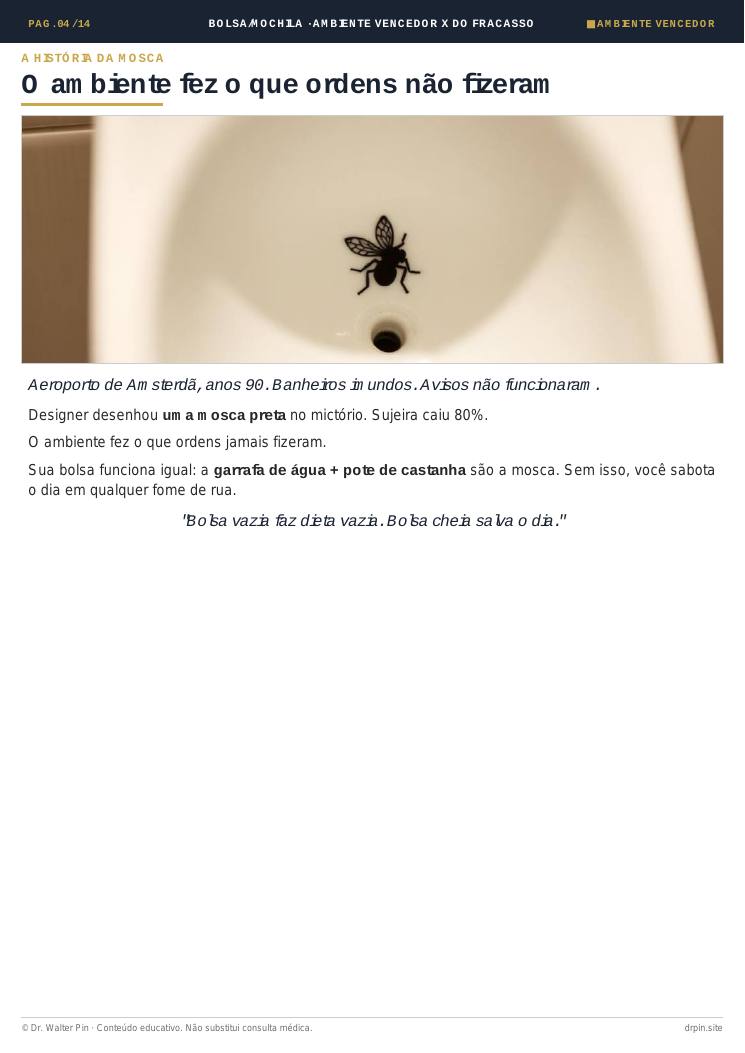 Página 4 — amostra