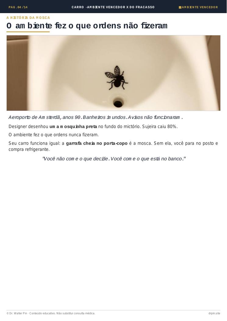 Página 4 — amostra