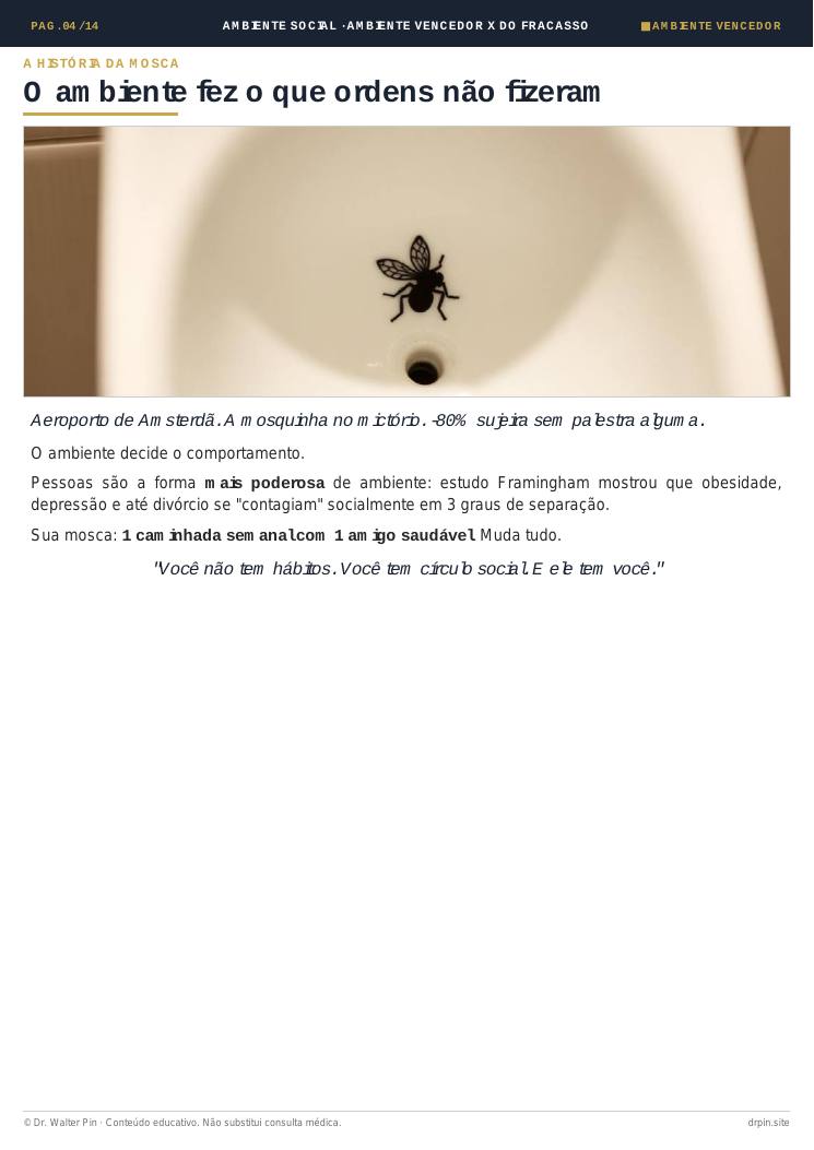Página 4 — amostra