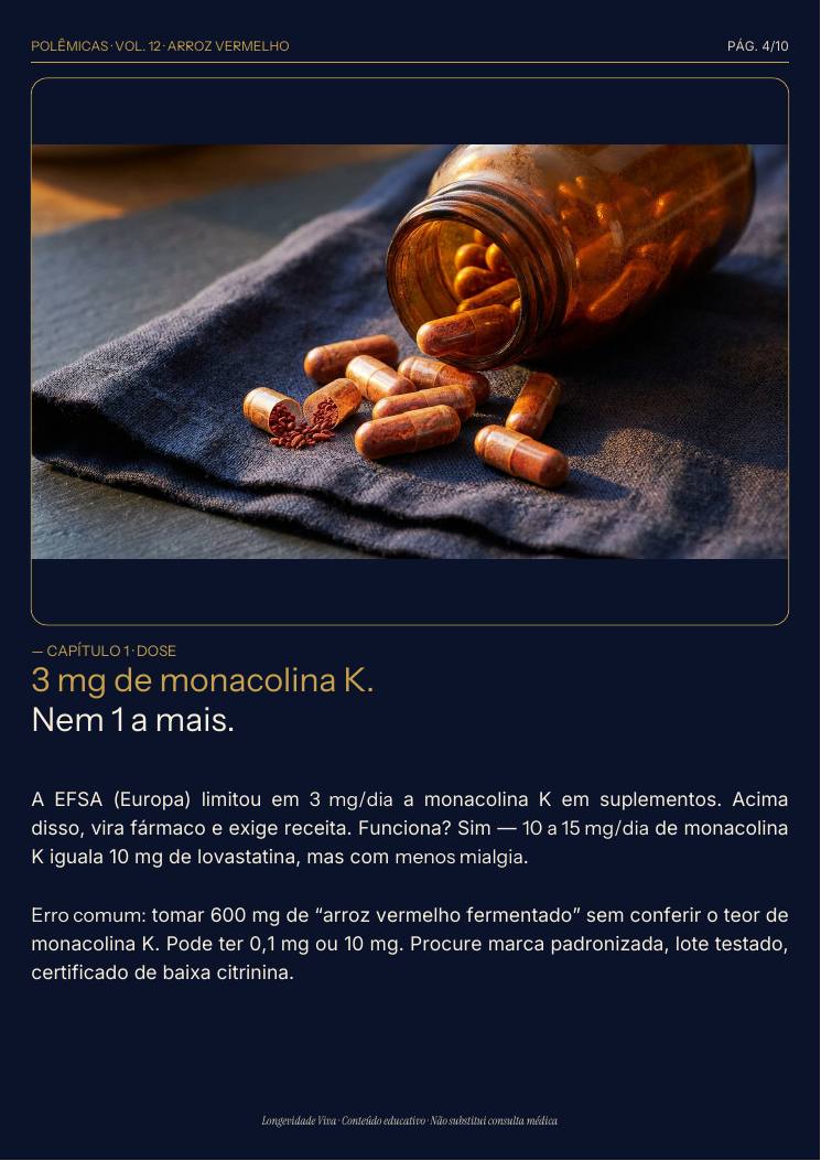 Página 4 — amostra