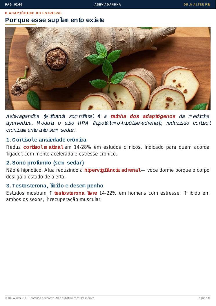 Página 2 — amostra