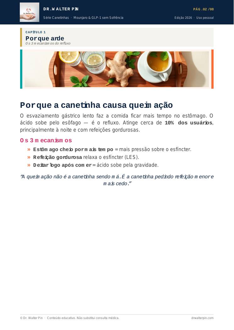 Página 2 — amostra