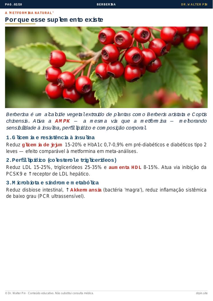 Página 2 — amostra