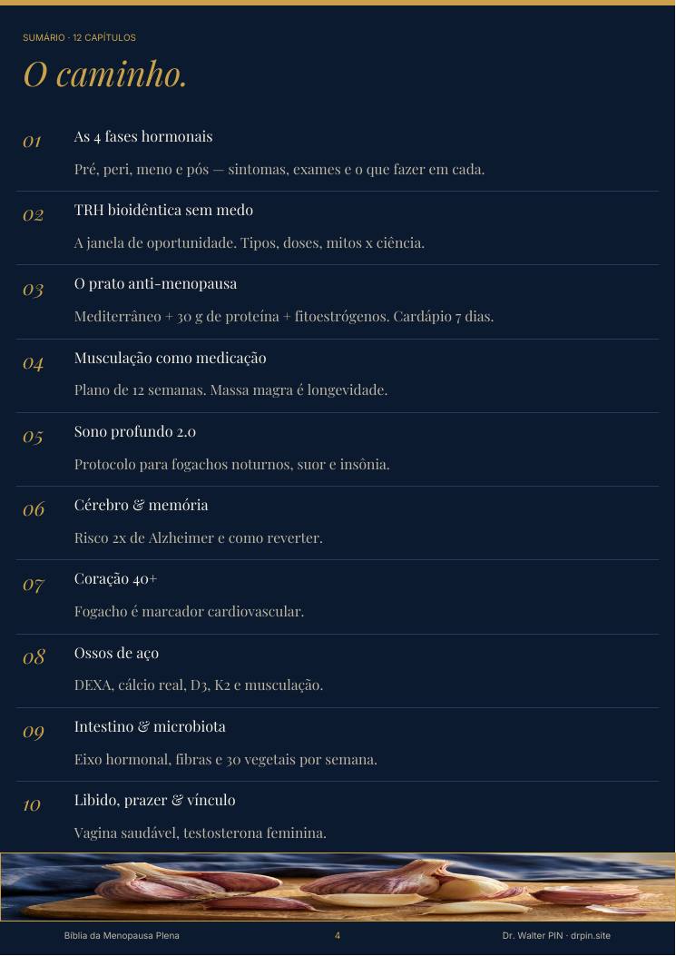 Página 4 — amostra