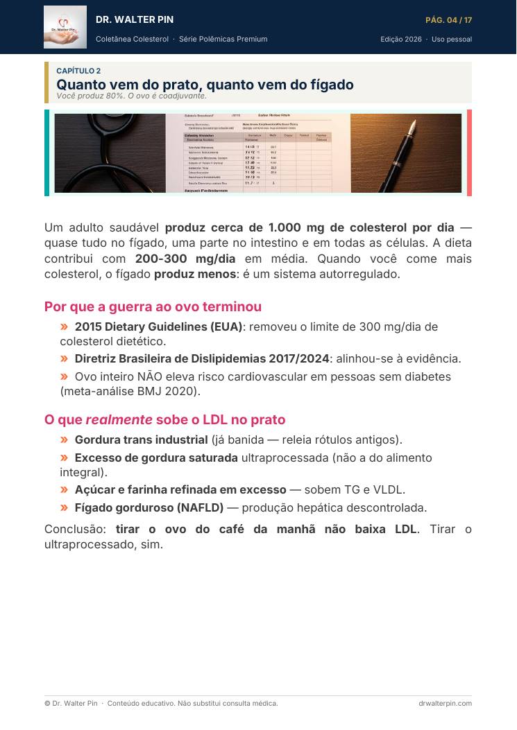 Página 4 — amostra