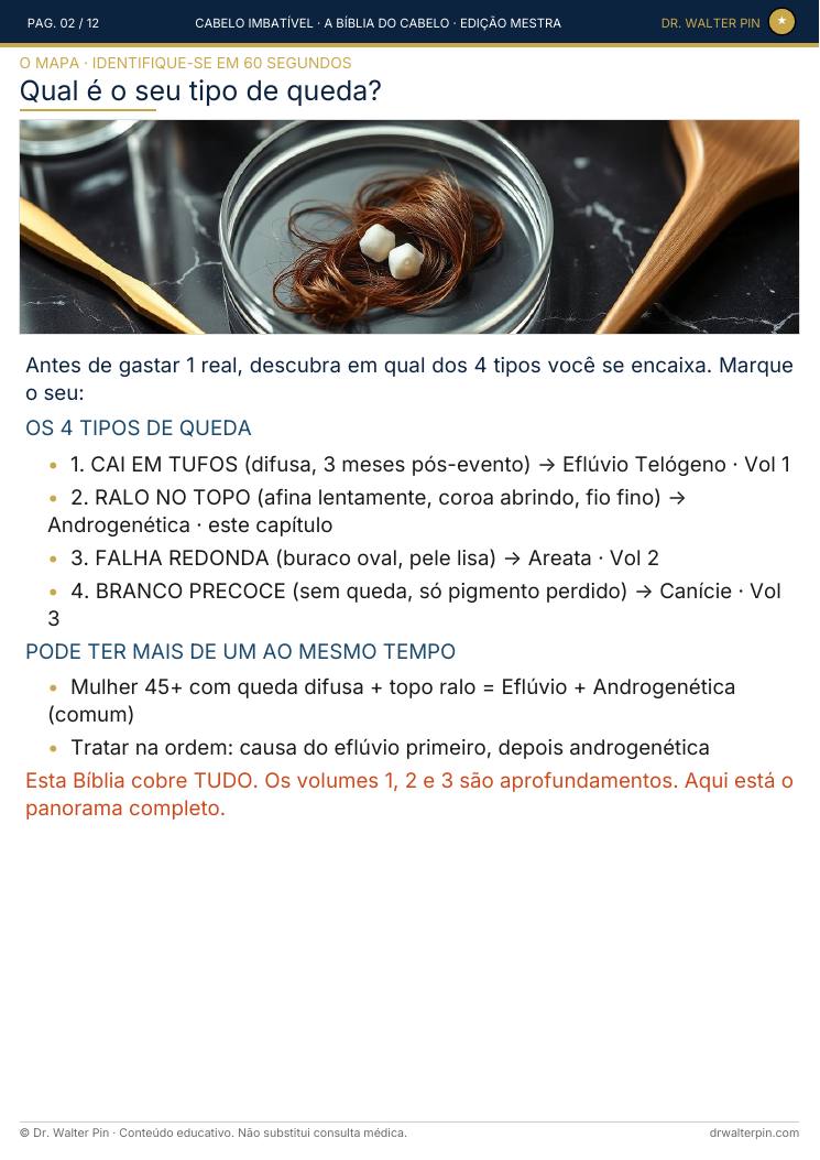 Página 2 — amostra