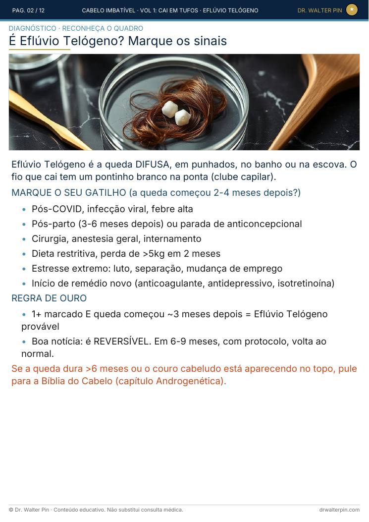 Página 2 — amostra