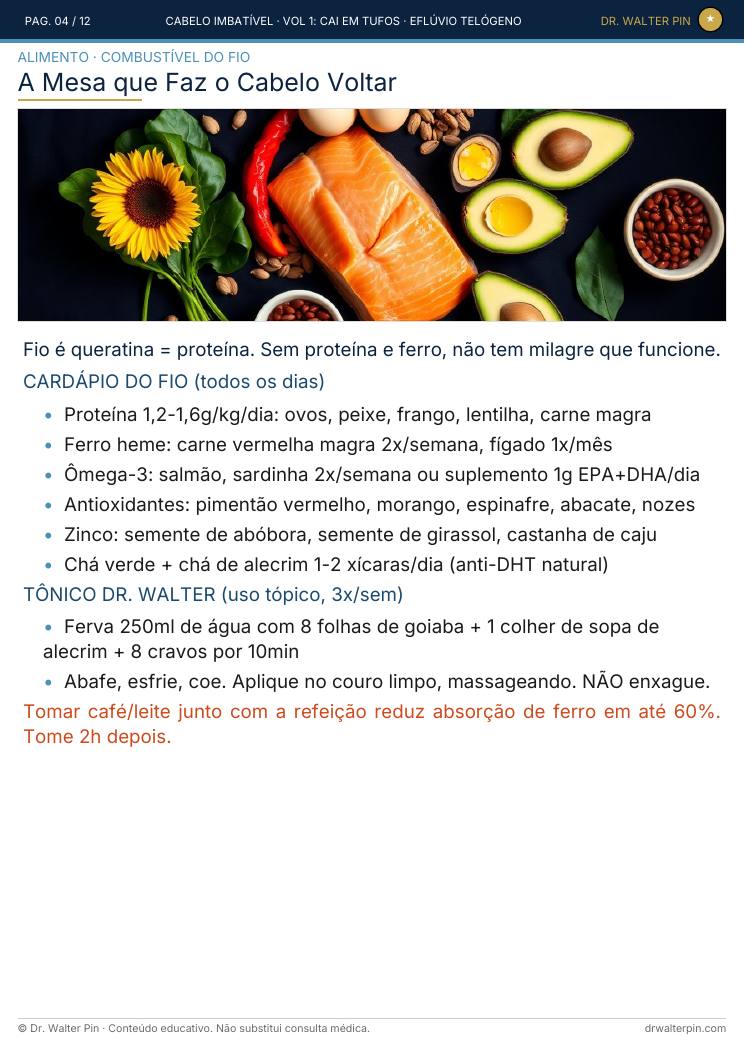 Página 4 — amostra