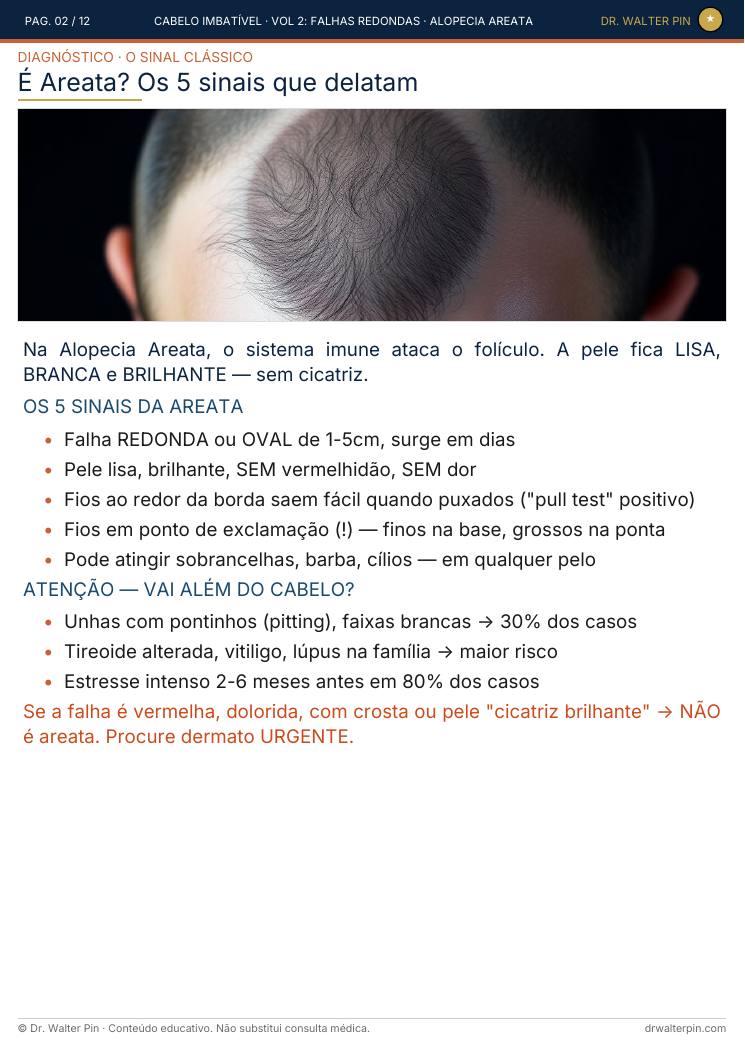 Página 2 — amostra
