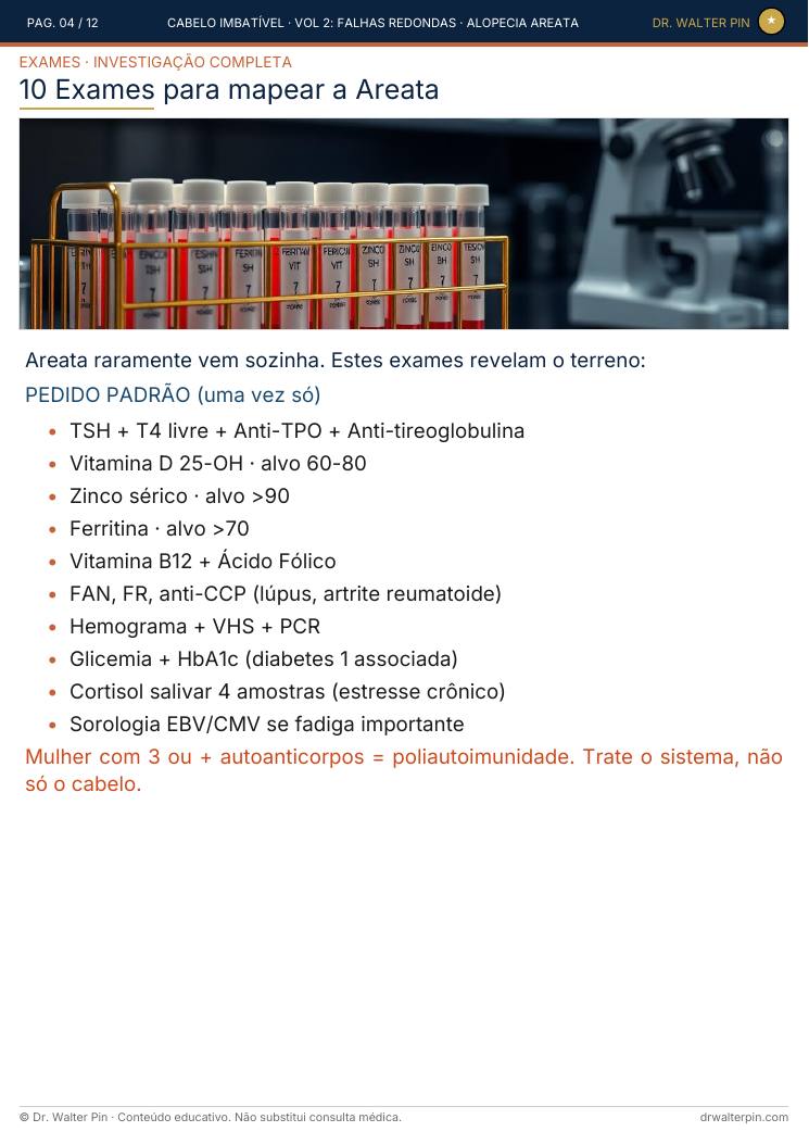 Página 4 — amostra