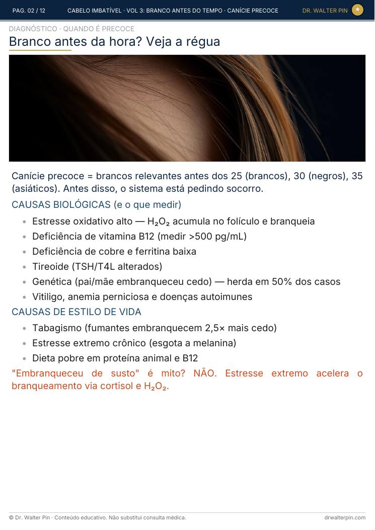 Página 2 — amostra