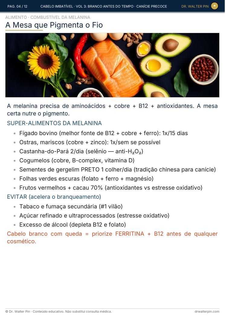 Página 4 — amostra