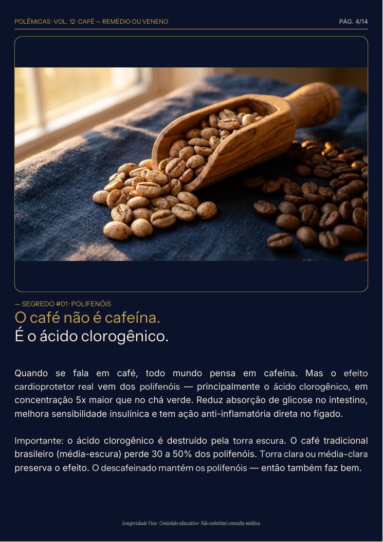 Página 4 — amostra