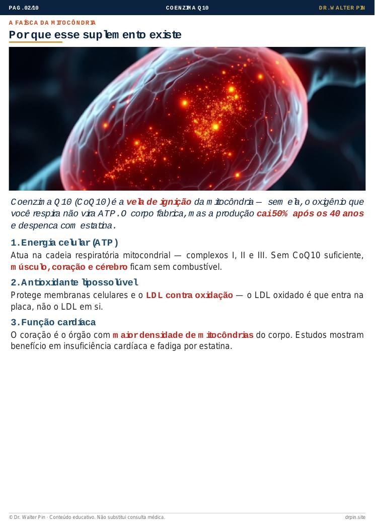 Página 2 — amostra