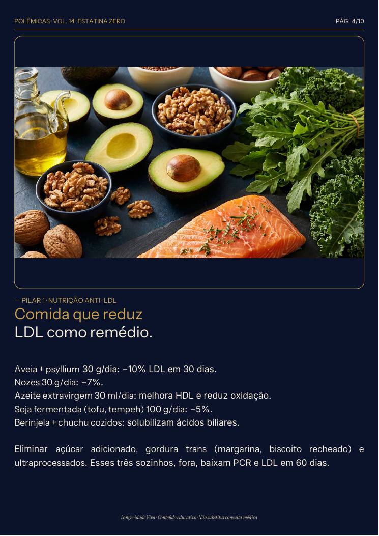 Página 4 — amostra