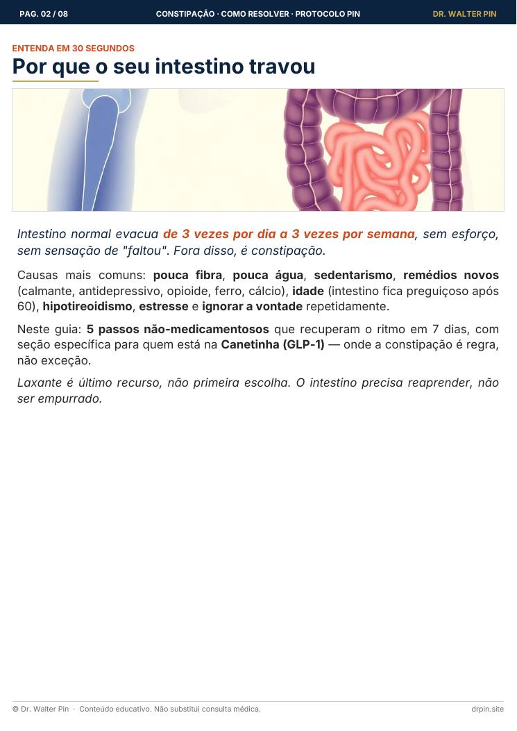 Página 2 — amostra