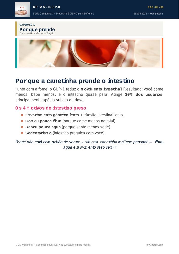 Página 2 — amostra