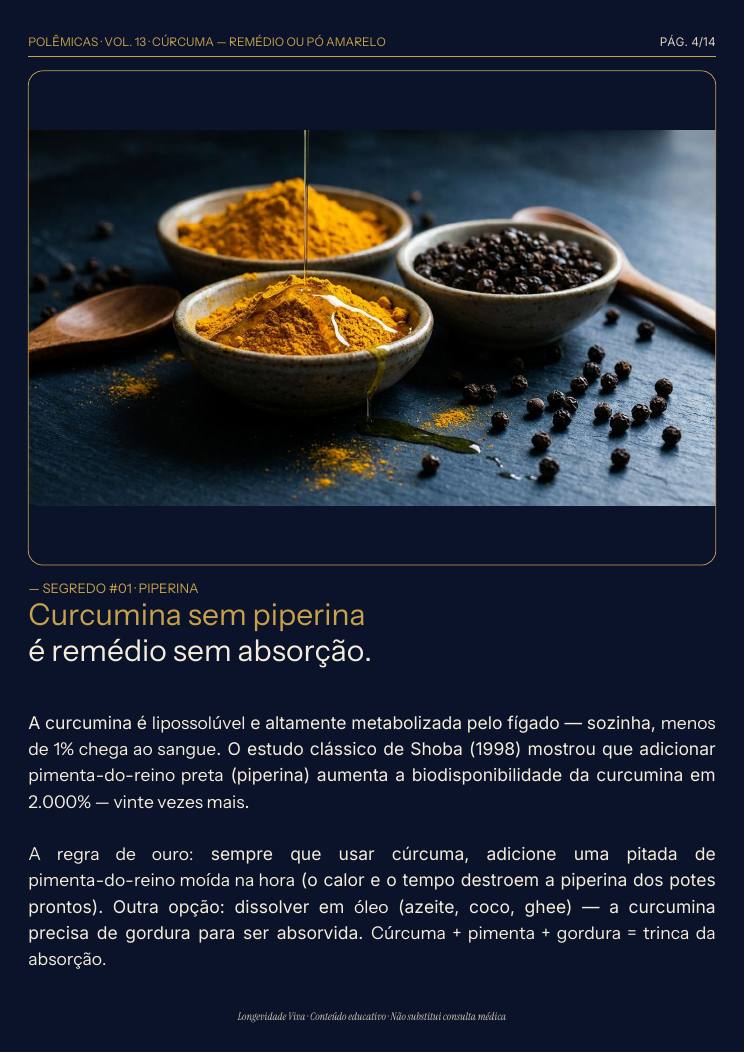 Página 4 — amostra