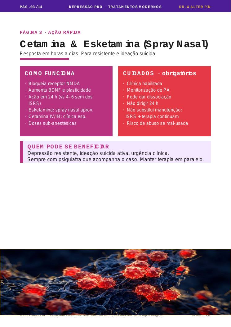 Página 4 — amostra