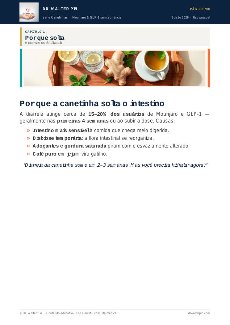 Página 2 — amostra