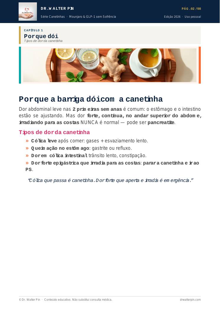 Página 2 — amostra