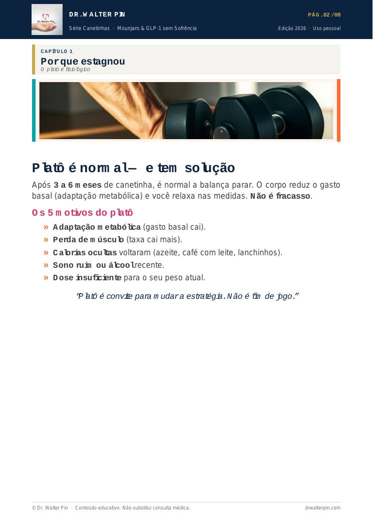 Página 2 — amostra
