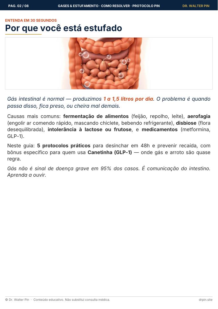Página 2 — amostra