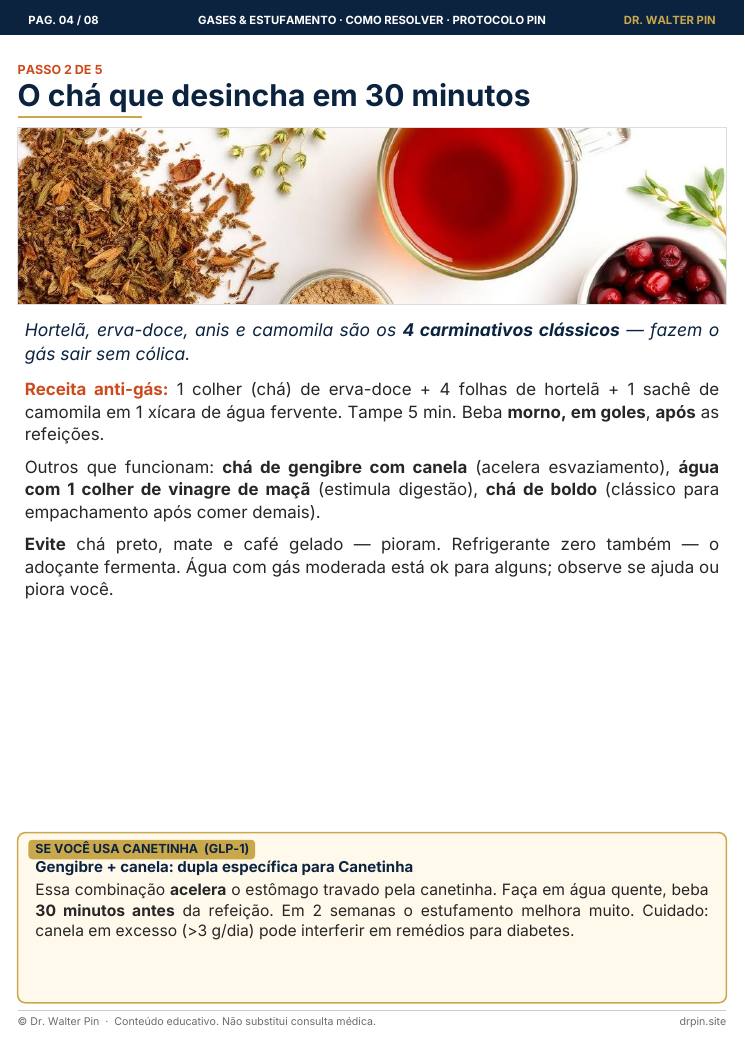Página 4 — amostra