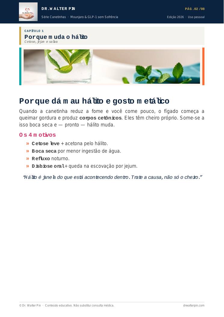 Página 2 — amostra