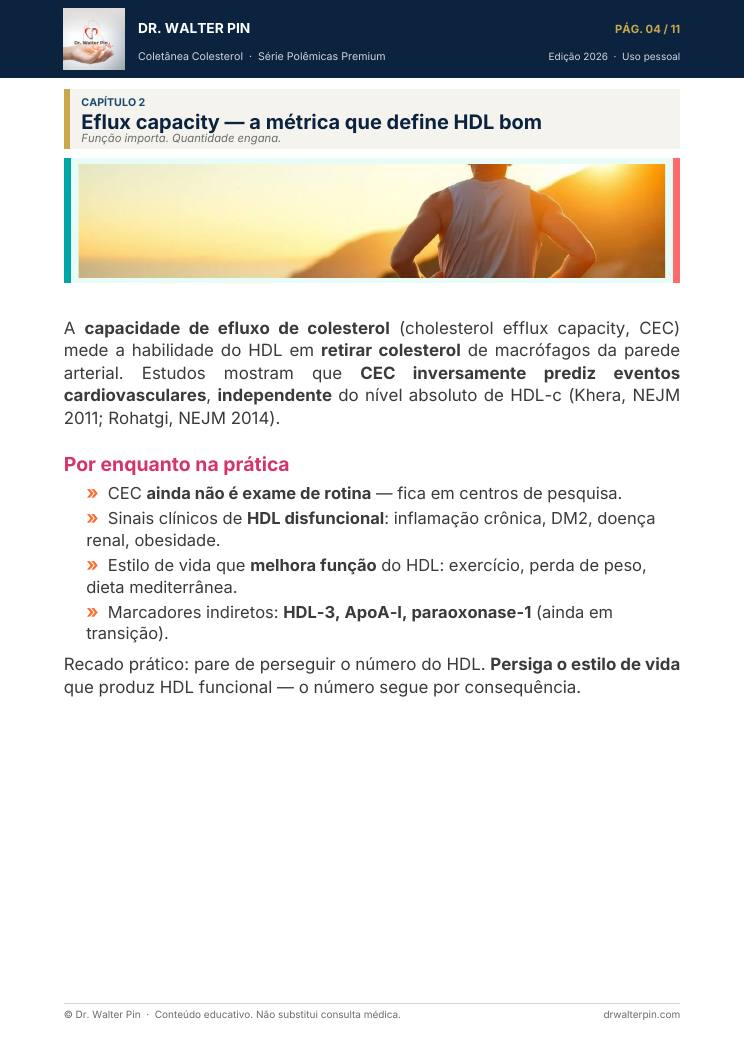 Página 4 — amostra