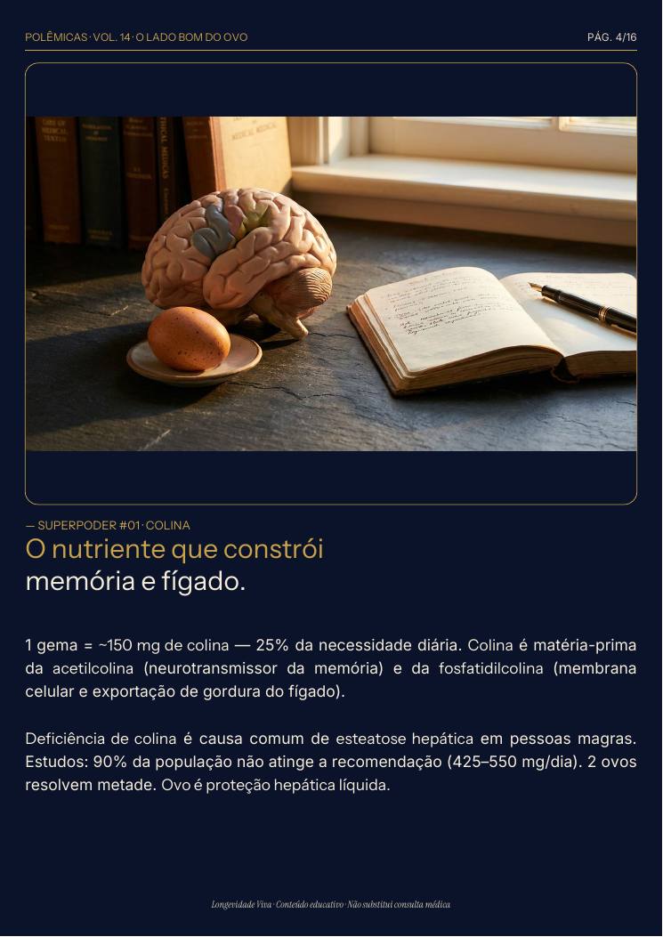 Página 4 — amostra