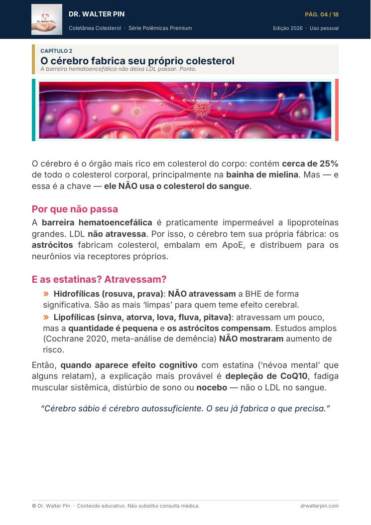 Página 4 — amostra