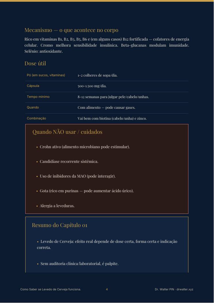 Página 4 — amostra