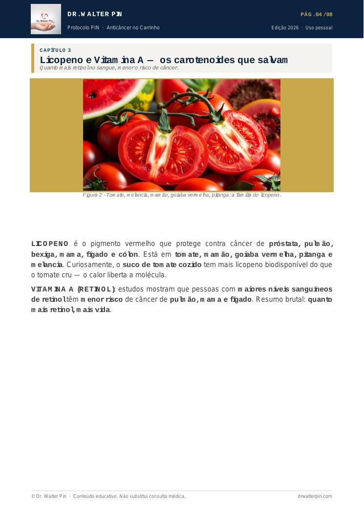 Página 4 — amostra