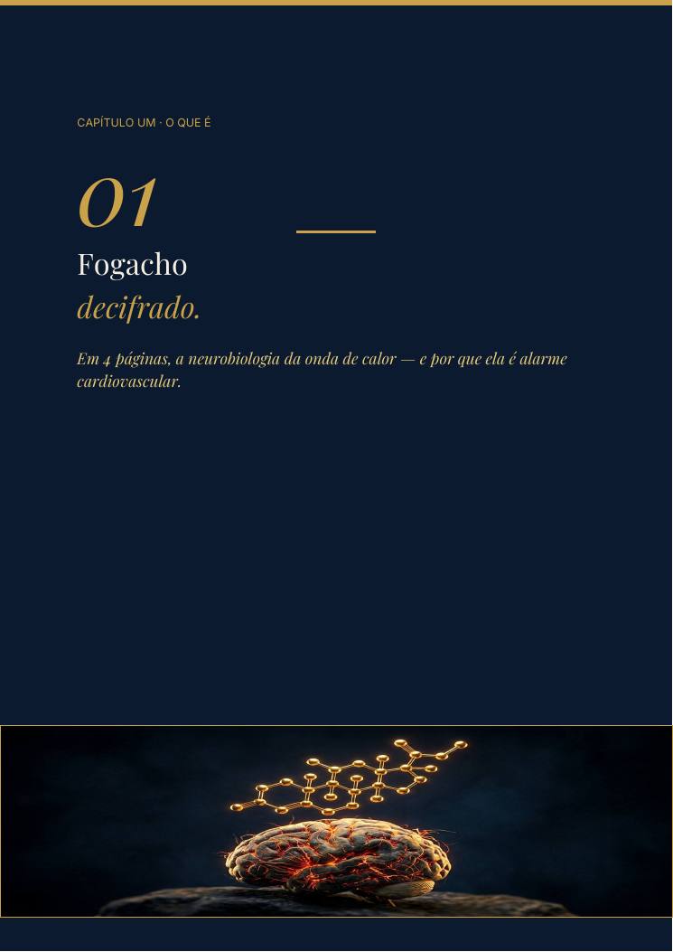 Página 4 — amostra