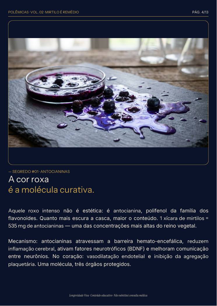 Página 4 — amostra