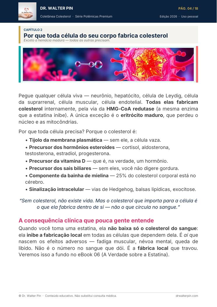 Página 4 — amostra