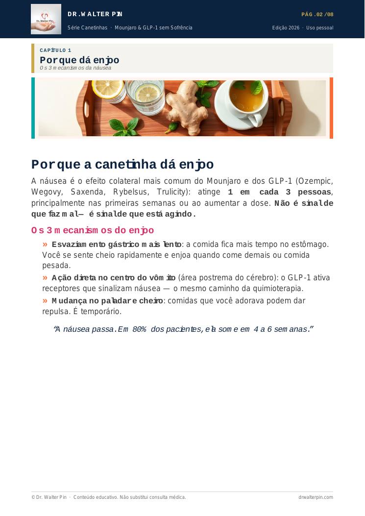 Página 2 — amostra