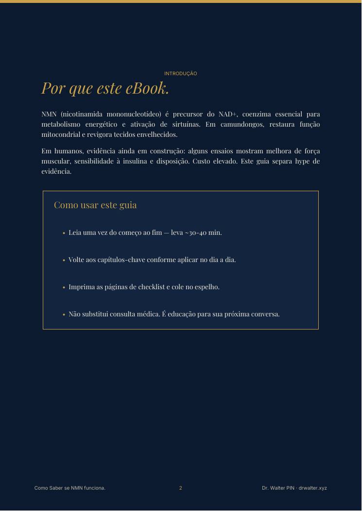 Página 2 — amostra