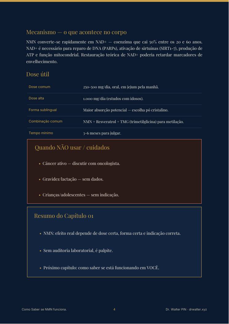 Página 4 — amostra