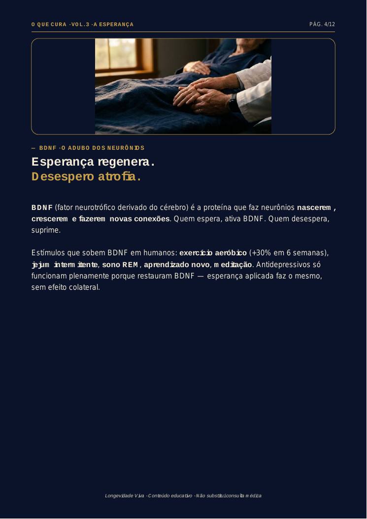 Página 4 — amostra