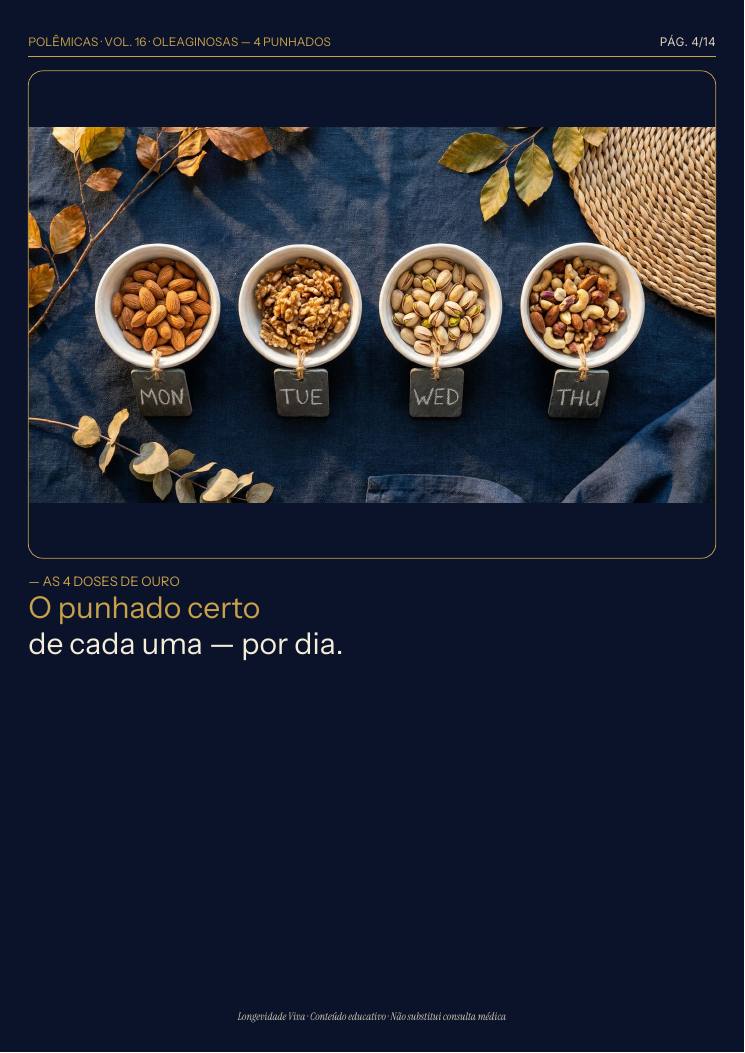 Página 4 — amostra