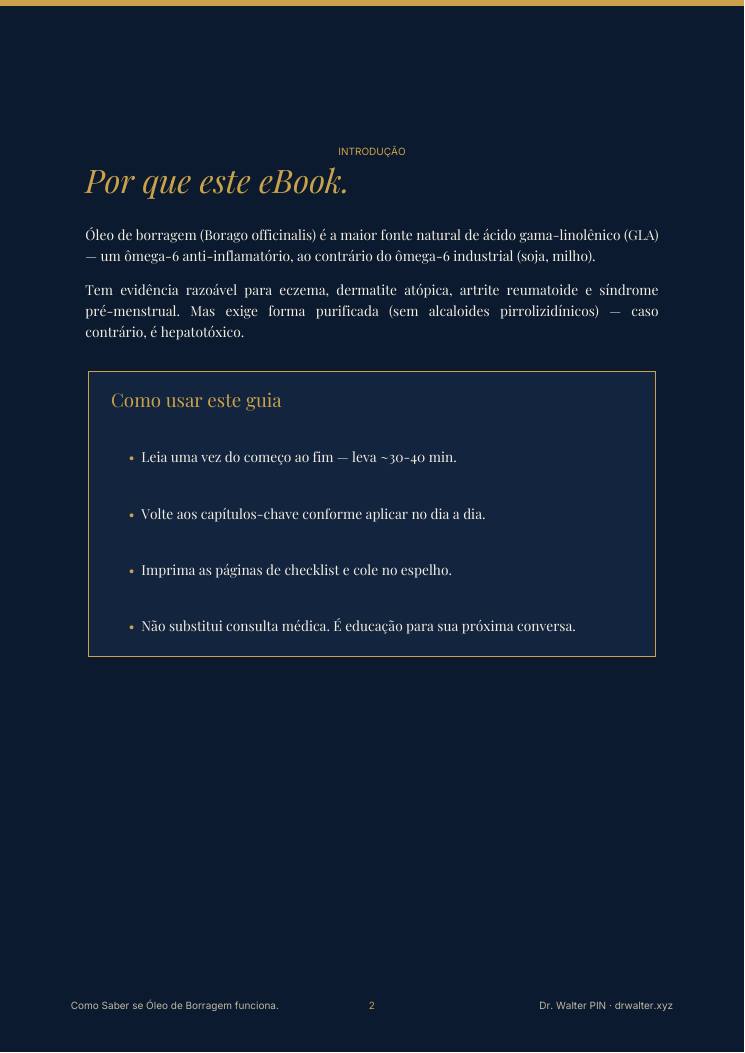 Página 2 — amostra