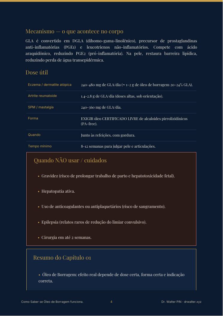 Página 4 — amostra