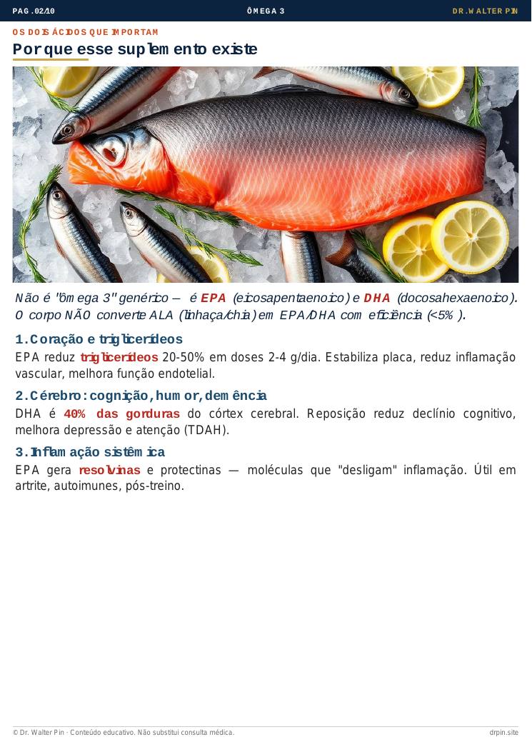 Página 2 — amostra