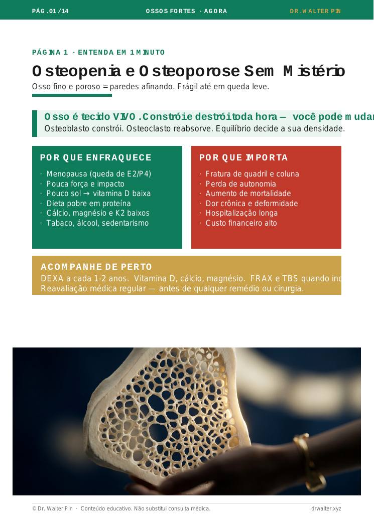 Página 2 — amostra