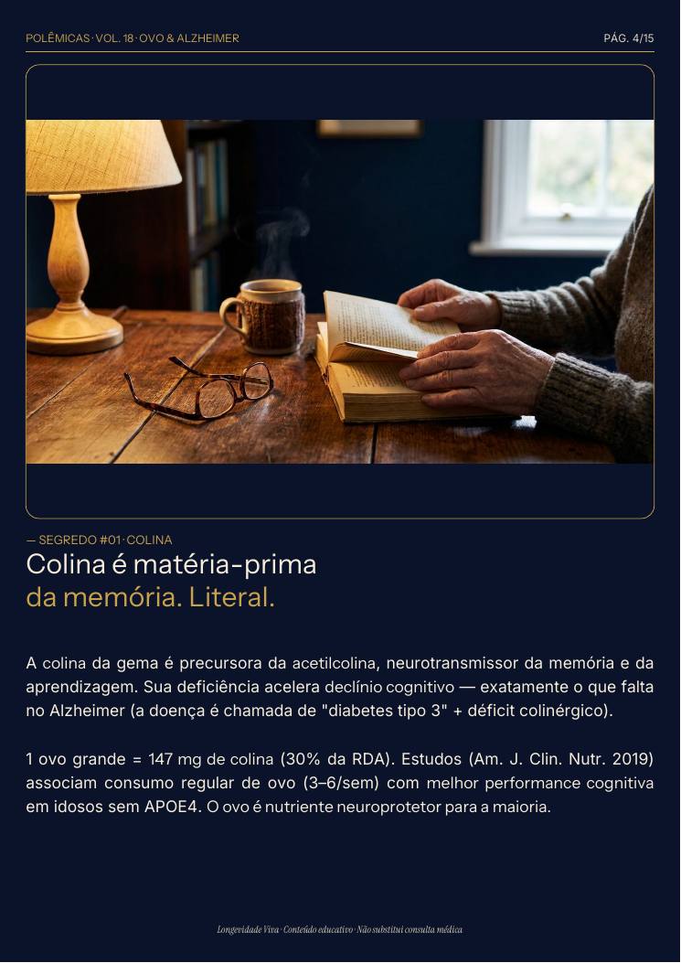 Página 4 — amostra