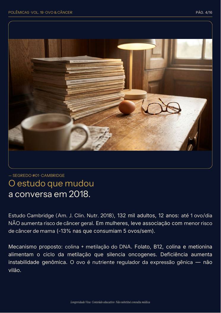 Página 4 — amostra